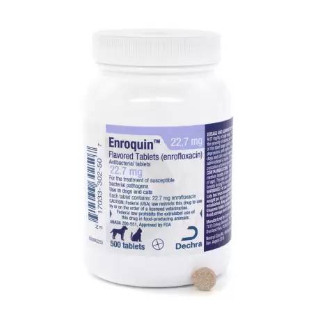Enroquin (enrofloxacin) - Antibacterial for Dogs and Cats 22.7mg Flavored Tablet