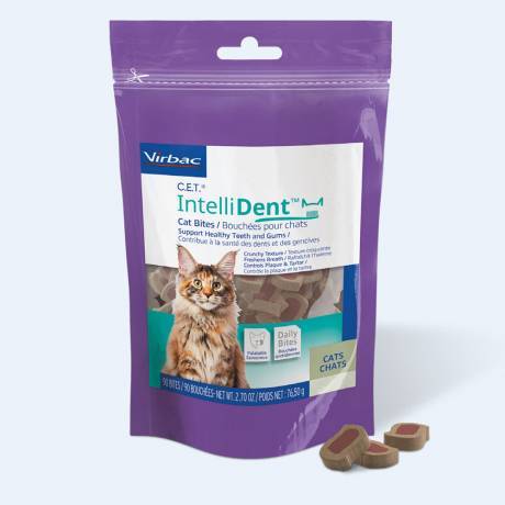 IntelliDent Cat Bites Support Healthy Teeth and Gums