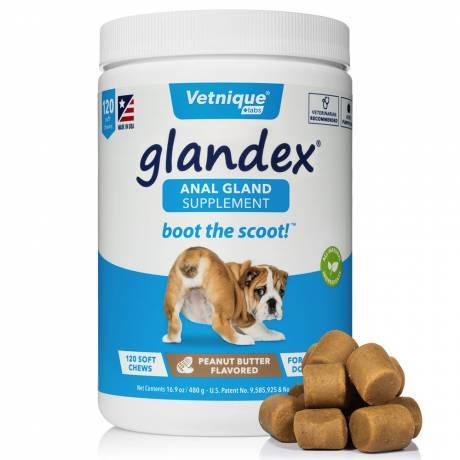 Glandex for Dogs Anal Gland Supplement - 120 Peanut Butter Soft Chews