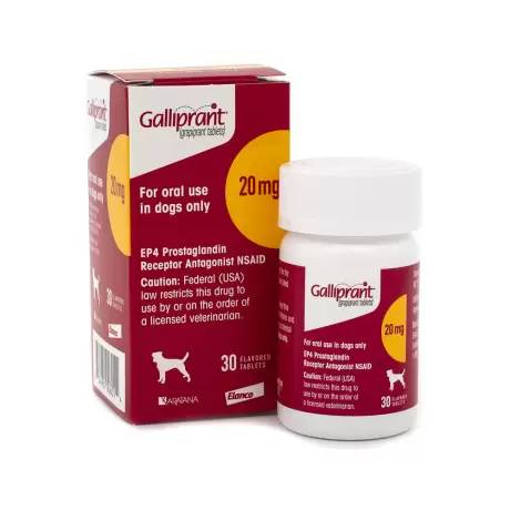 Galliprant - 20mg for Dogs, 30 Flavored Tablets NSAID Control Pain and Inflammation