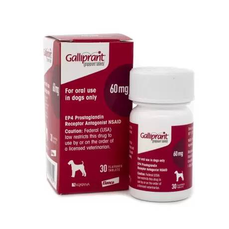 Galliprant - EP4 Receptor Antagonist NSAID | VetRxDirect | 60mg, 30