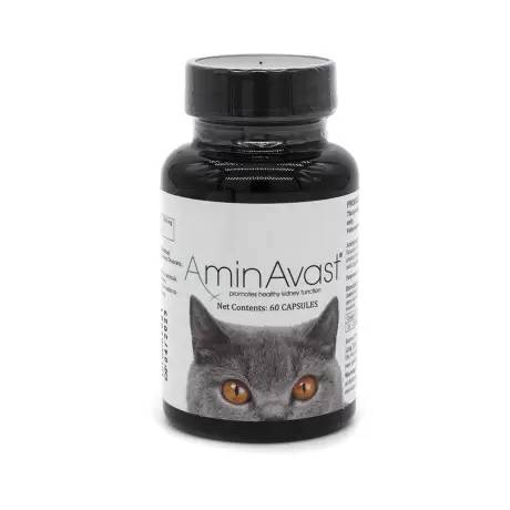 AminAvast for Cats Promotes Healthy Kidney Function