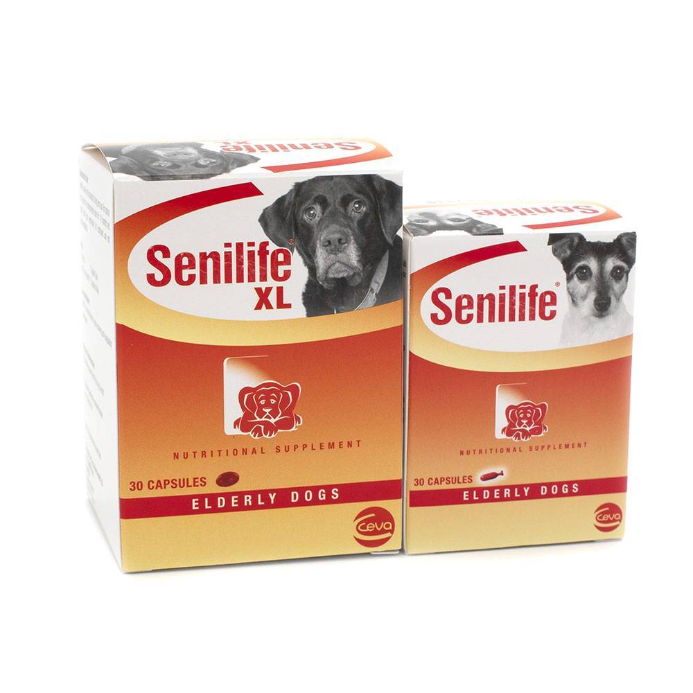 Senilife: Regular and XL Size - For Elderly Dogs - VetRxDirect