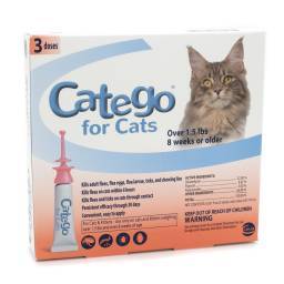 Catego for Cats; ?>