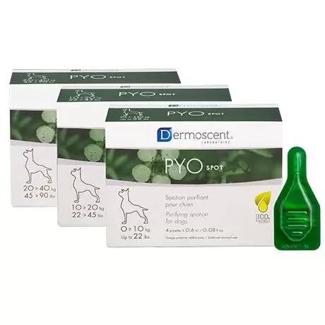 Dermoscent PYOspot for Dogs Purifying Spot-on PhytoC-2 and Omega Fatty Acids