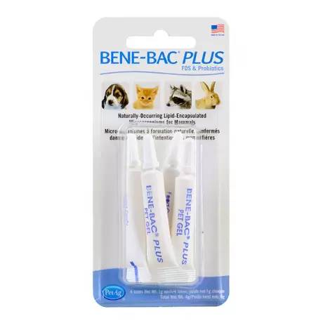 Bene-Bac Plus Probiotic for Dogs and Cats - Pet Gel, 4 Tubes of 1g each