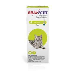 Bravecto Topical Solution for Cats; ?>