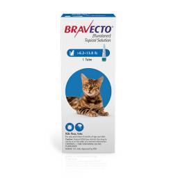 Bravecto Topical Solution for Cats; ?>