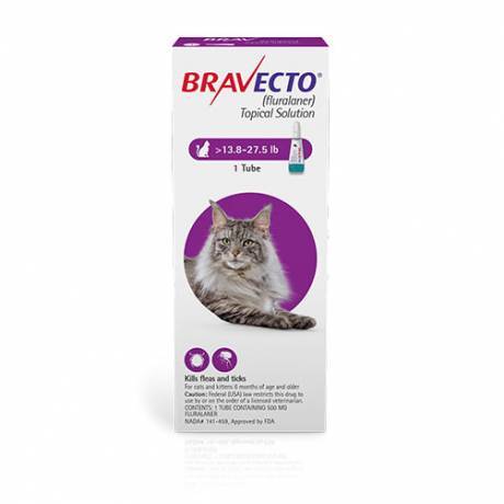 Bravecto Topical Solution for Cats - 500mg, 13.8 - 27.5 lbs, 1 Pack Kills Fleas, Ticks