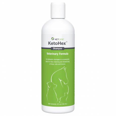 KetoHex for Dogs and Cats - Chlorhexidine Ketoconazole Shampoo, 8oz Bottle