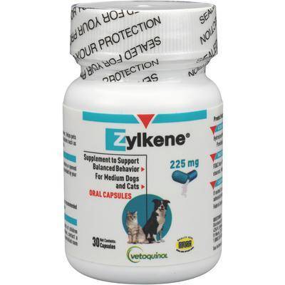 Zylkene - Help Reduce Stress in Dogs and Cats | VetRxDirect Pharmacy