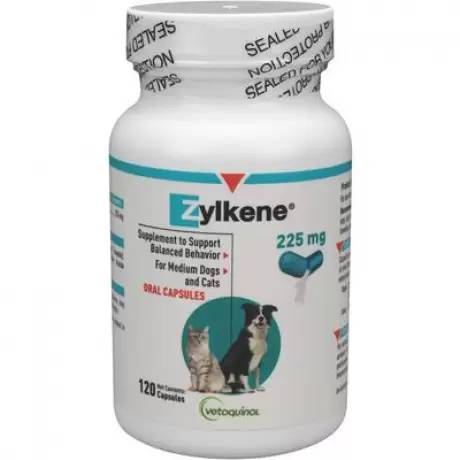 Zylkene Behavior Supplement for Medium Dogs and Cats - 255mg, 120 Capsules