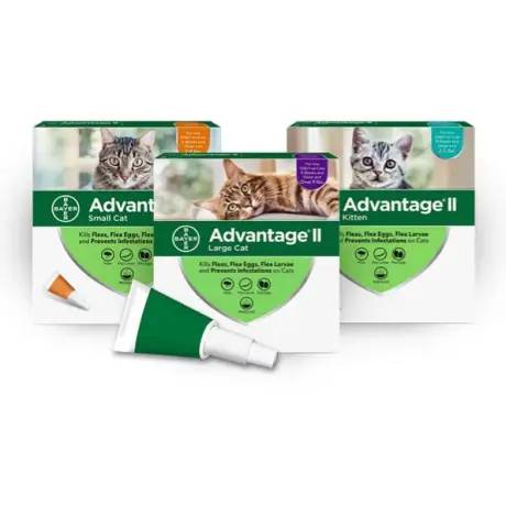 Advantage II for Cats Flea Prevention and Treatment Monthly Topical