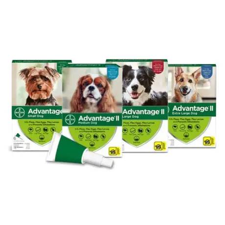 Advantage II for Dogs Flea Prevention and Treatment Monthly Topical