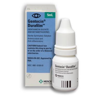 Gentamicin sulfate eye drops for dogs best sale