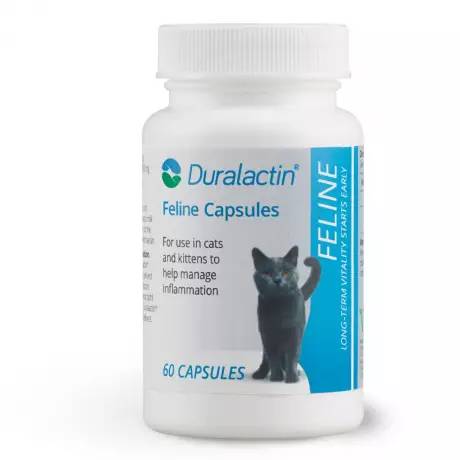 Duralactin Feline - Inflammation in Cats - Bottle of 60 Capsules