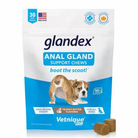 Glandex Anal Gland Supplement for Dogs with Pumpkin - 30 Peanut Butter Soft Chews