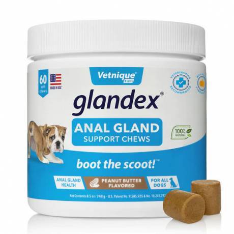 Glandex Anal Gland Supplement for Dogs with Pumpkin - 60 Peanut Butter Soft Chews