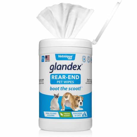 Glandex Anal Gland Wipes for Dogs and Cats - 75 Fresh Scented Wipes