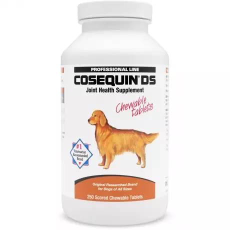 Cosequin DS Chewable Tablets for Dogs - Joint Supplement - 250ct
