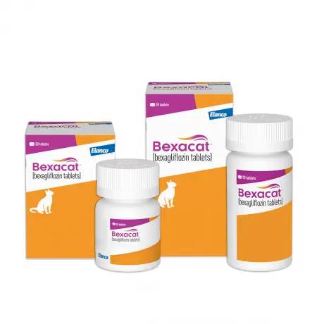 Bexacat (bexagliflozin) Tablets for Cats for Diabetes