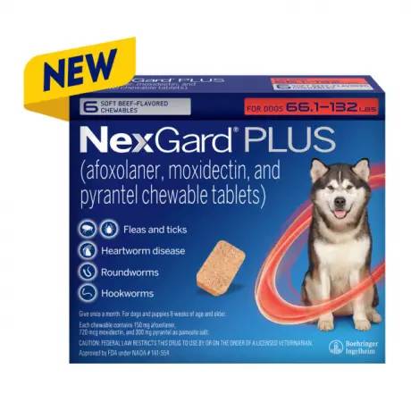 NexGard PLUS chewables for Dogs for prevention of parasites, Large Dogs 66.1-132 lbs, 6 chewables
