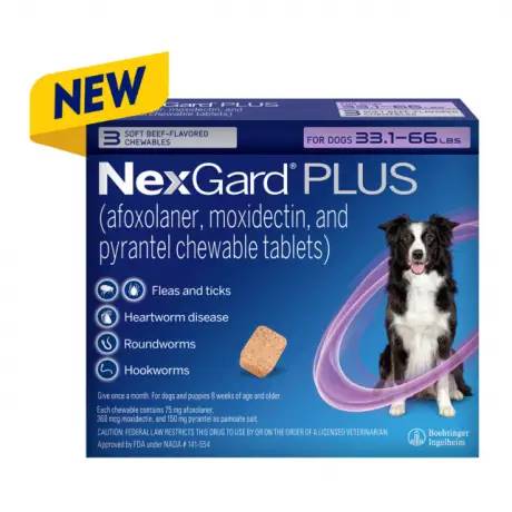 NexGard PLUS chewables for Dogs for prevention of parasites, Medium Dogs 33.1-66 lbs, 3 chewables