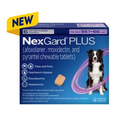 NexGard PLUS chewables for Dogs for prevention of parasites, Medium Dogs 33.1-66 lbs, 6 chewables