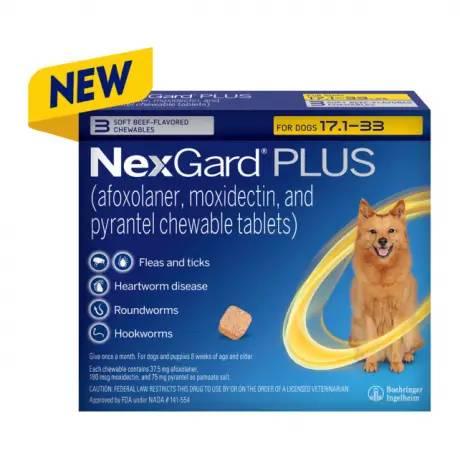 NexGard PLUS chewables for Dogs for prevention of parasites, Small Dogs 17.1-33 lbs, 3 chewables