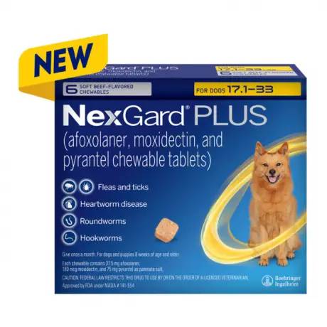 NexGard PLUS chewables for Dogs for prevention of parasites, Small Dogs 17.1-33 lbs, 6 chewables