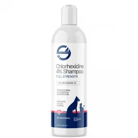 Stratford Chlorhexidine 4% Shampoo 12 oz bottle