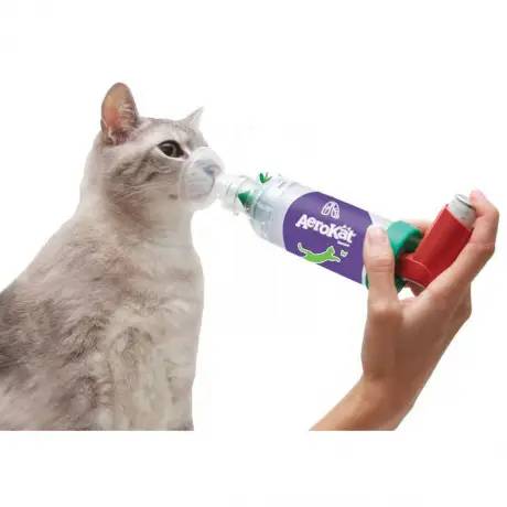 AeroKat Aerosol Chamber for Cats Asthma Inhaler