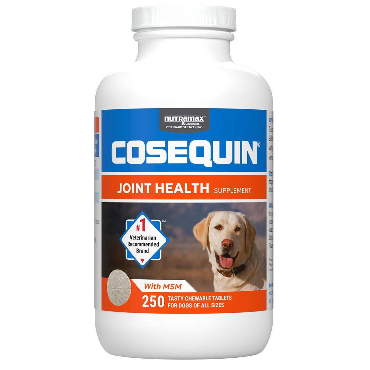 Cosequin DS Maximum Strength Plus MSM Chewable Tablets for Dogs 132 Count