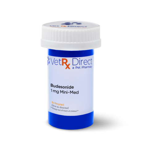 Budesonide Compounded Epicur Mini-Med 1mg Rx Bottle