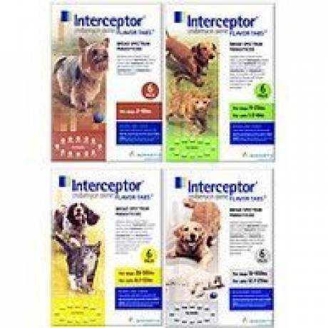 Interceptor for Cats: Milbemycin Oxime Flavor Tabs for Cats