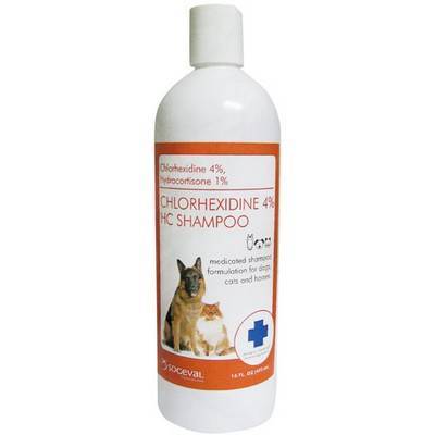 hydrocortisone dog shampoo