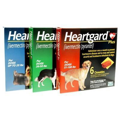 sentinel heartgard plus for dogs