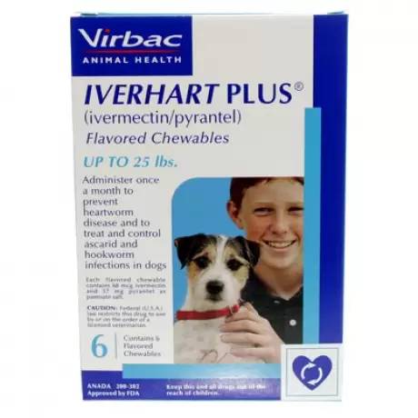 Iverhart Plus Dog Heartworm Vetrxdirect Pharmacy