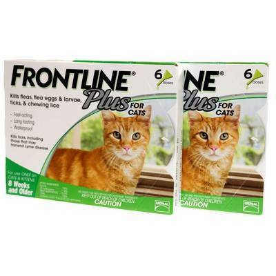 Frontline Plus for Cats - Monthly Flea and Tick Control | VetRxDirect