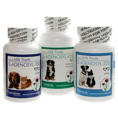 same and milk thistle for dogs