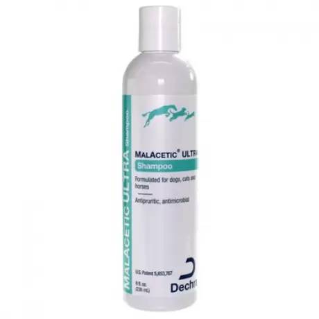 MalAcetic Ultra Shampoo for Dogs and Cats