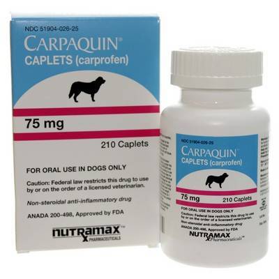 Carpaquin - Carprofen Pain Reliever for Dogs | VetRxDirect