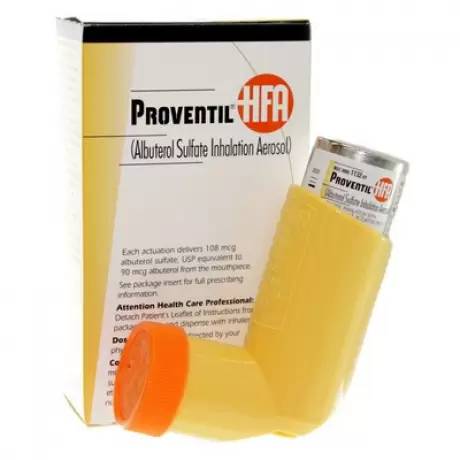 Proventil Inhaler for Cats and Dogs