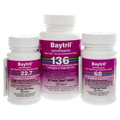 baytril side effects for dogs