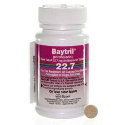 Baytril (enrofloxacin); ?>