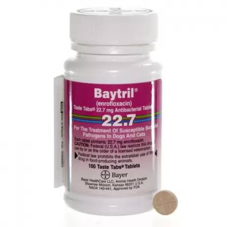 Baytril Taste Tabs for Dogs and Cats 22.7mg