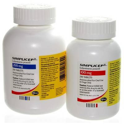 Cefpodoxime simplicef fuer hunde