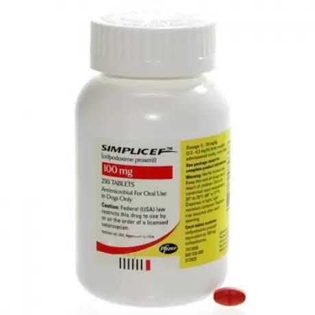 Simplicef For Dogs Cefpodoxime For Dogs Vetrxdirect Com