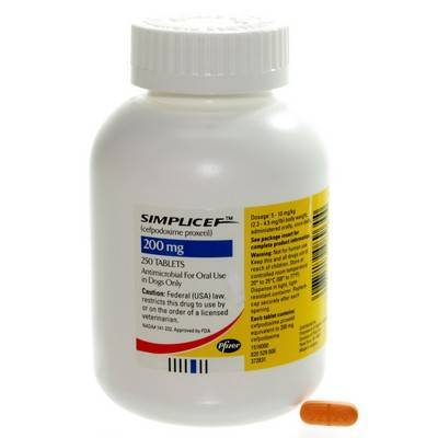 Simplicef for Dogs: Cefpodoxime for dogs - VetRxDirect.com