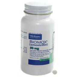 Biomox (amoxicillin); ?>